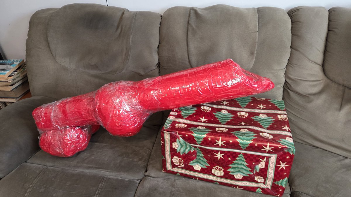 Forgot to share a pic of the wrapped gift we brought to the secret Santa exchange... secret!