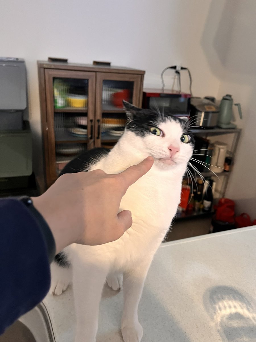 CHORU_P's tweet image. 