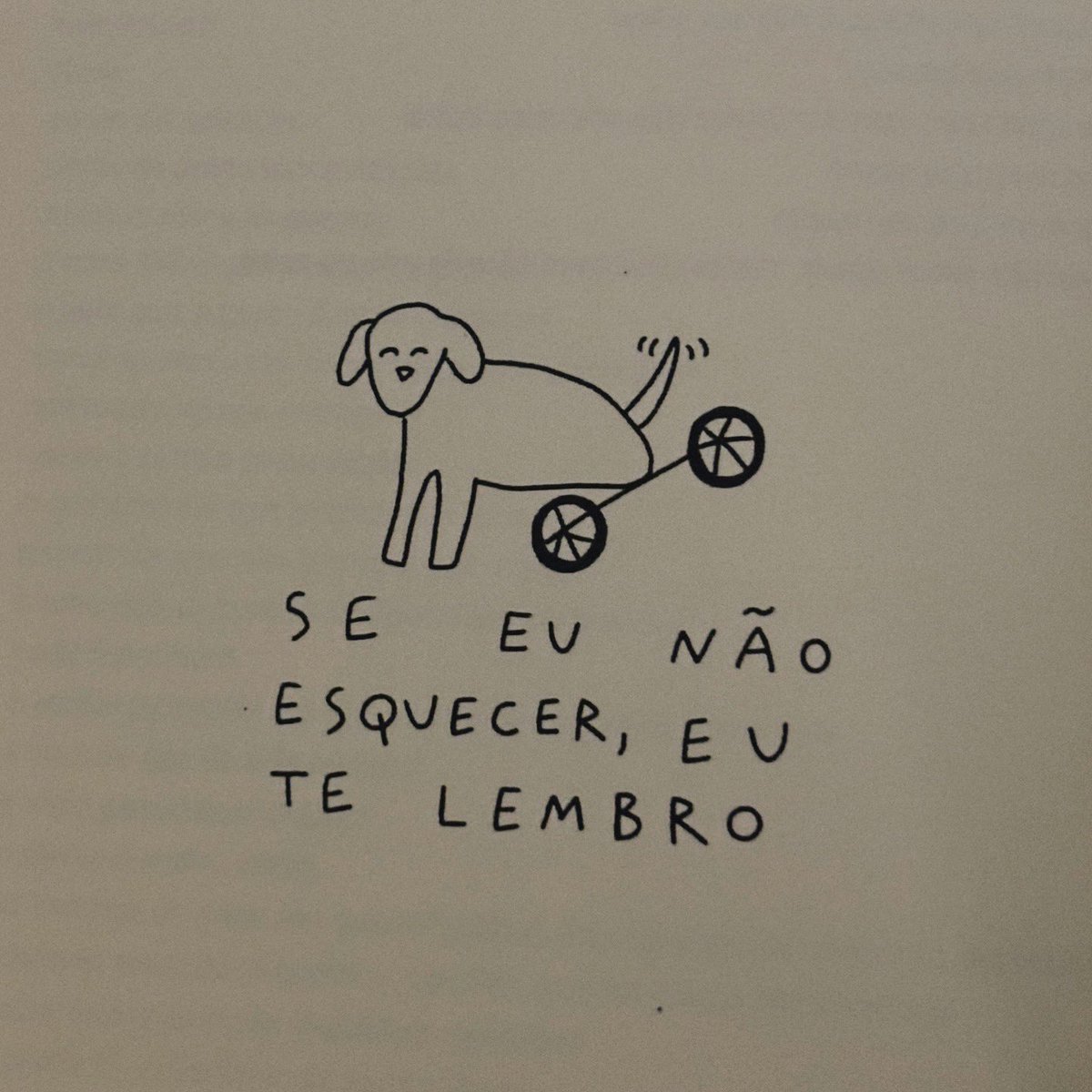 Matheus Tomé tweet media