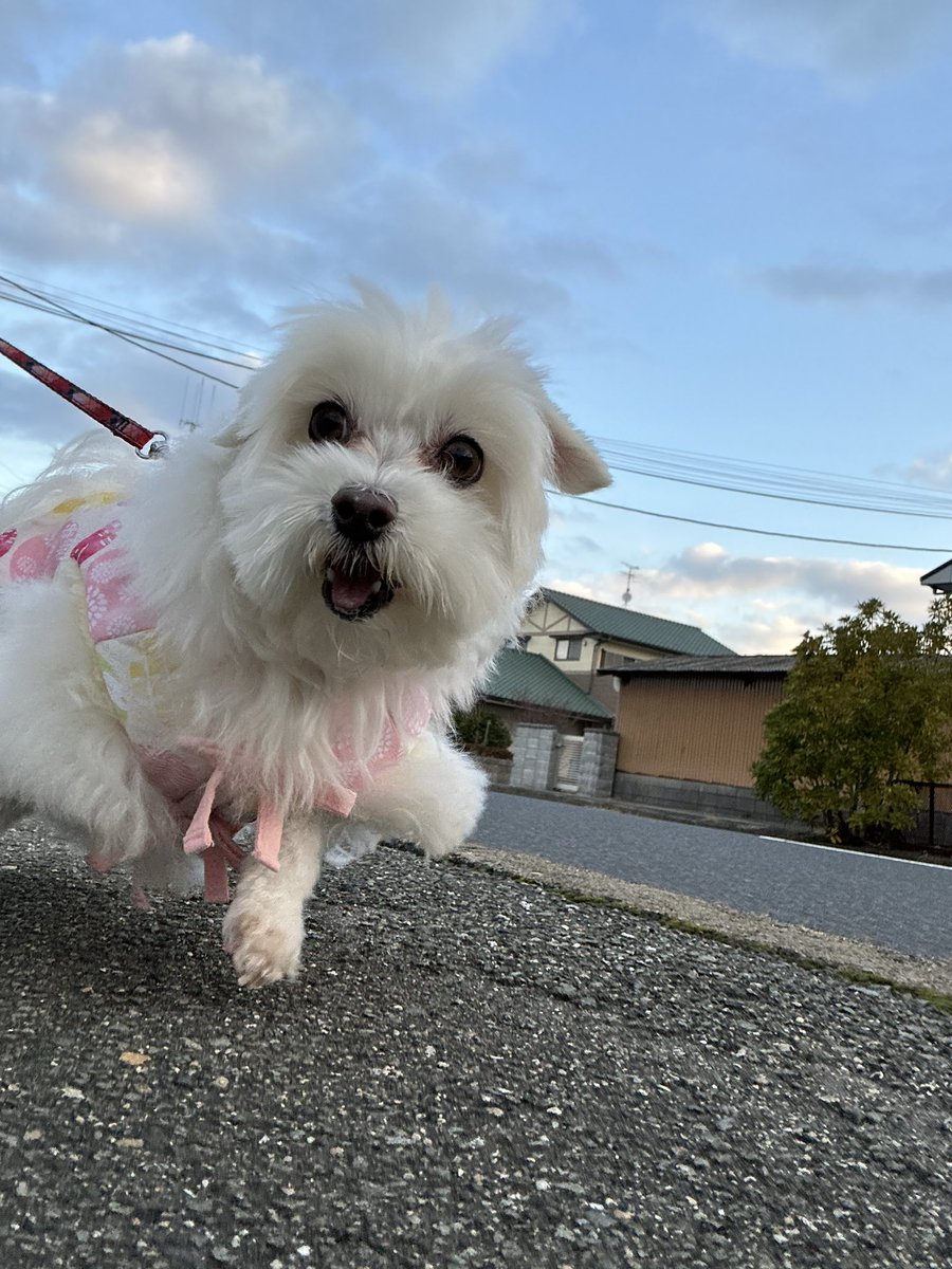 ハルくん (@9Z8lquSv8B3FMpN) / Posts / X