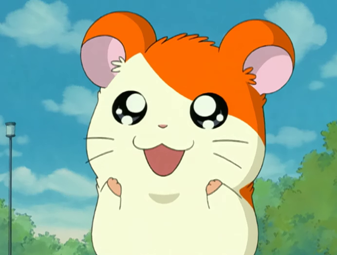 Nise_Hamtaro's tweet photo. I'm glad to have seen so many people from the last few days who remember and still love Hamtaro

But also, I wonder how many people of younger generations enjoy it without having grown up with it. It's a charming, timeless series that I think kids in any era could enjoy. https://t.co/dnMidYKrdv