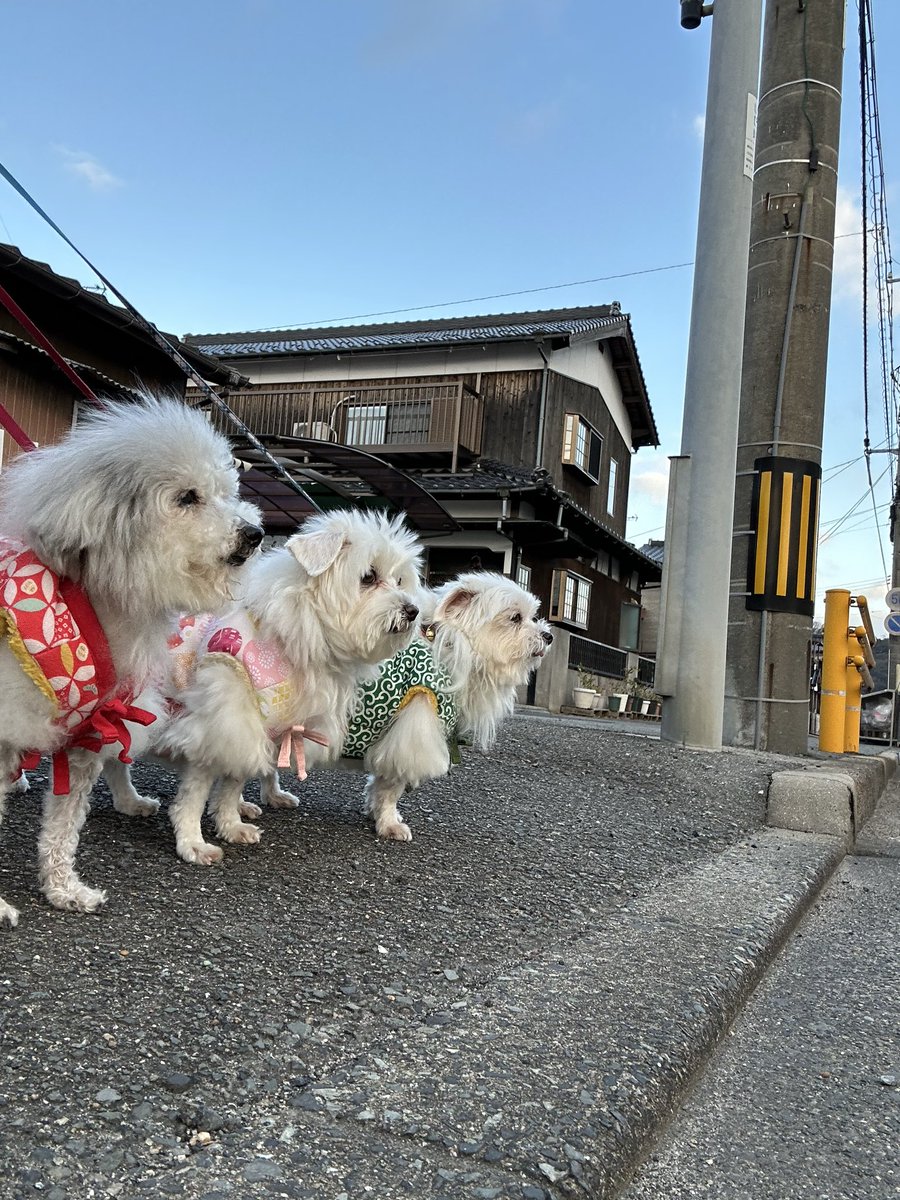 ハルさま確認ページ♥ ハルくん (@9Z8lquSv8B3FMpN) / Posts / X