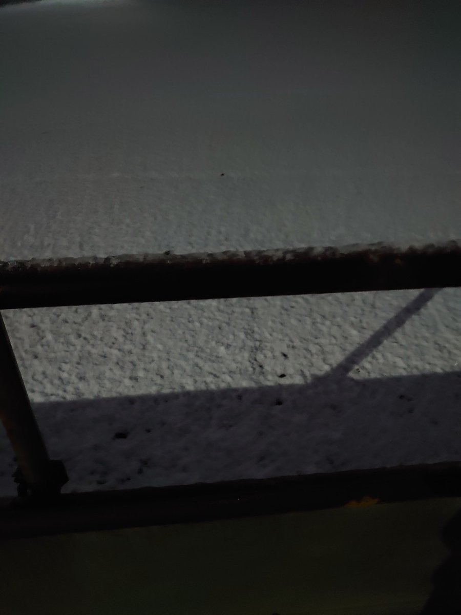 昨日は結局1時間近くタクシー待ったけど…初雪見れたからよしとします