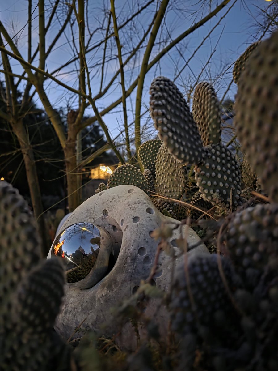 Scene in the gardens tonight... 👀
#thegardensofstfrancisofassisiatsintmaartenhouse #wormhole #sculpture