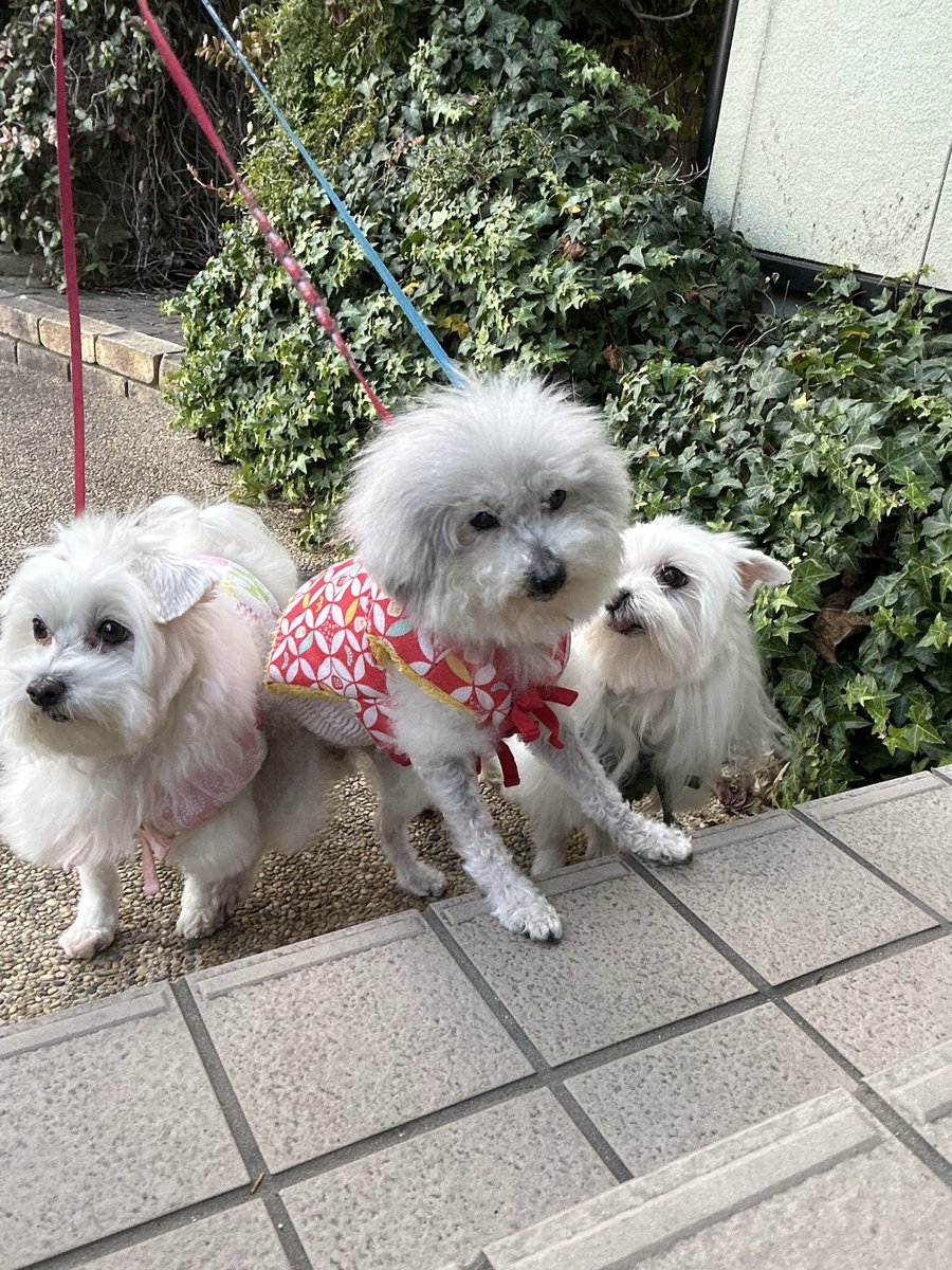 ハルくん (@9Z8lquSv8B3FMpN) / Posts / X