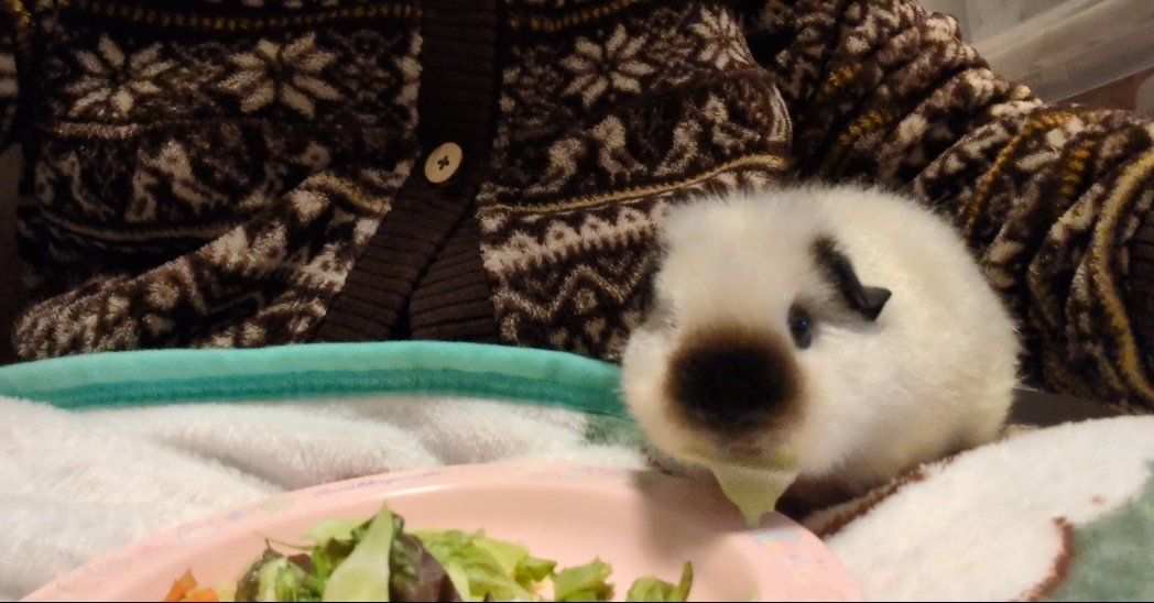 ann(ﾓﾙﾓﾙ) tweet media