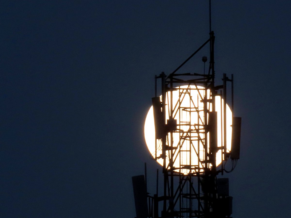 Isidro Nando Pestana tweet media