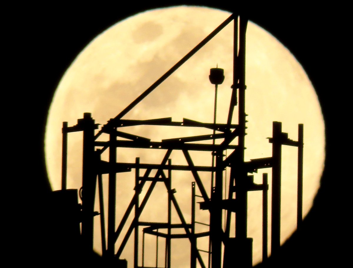 Isidro Nando Pestana tweet media