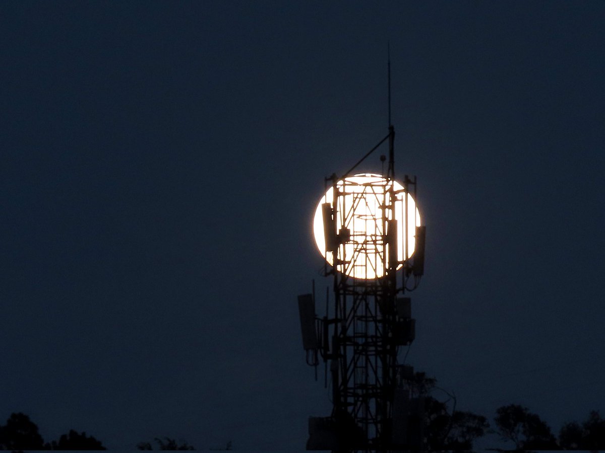 Isidro Nando Pestana tweet media