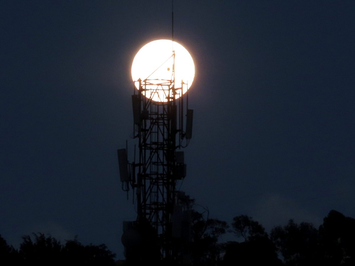 Isidro Nando Pestana tweet media