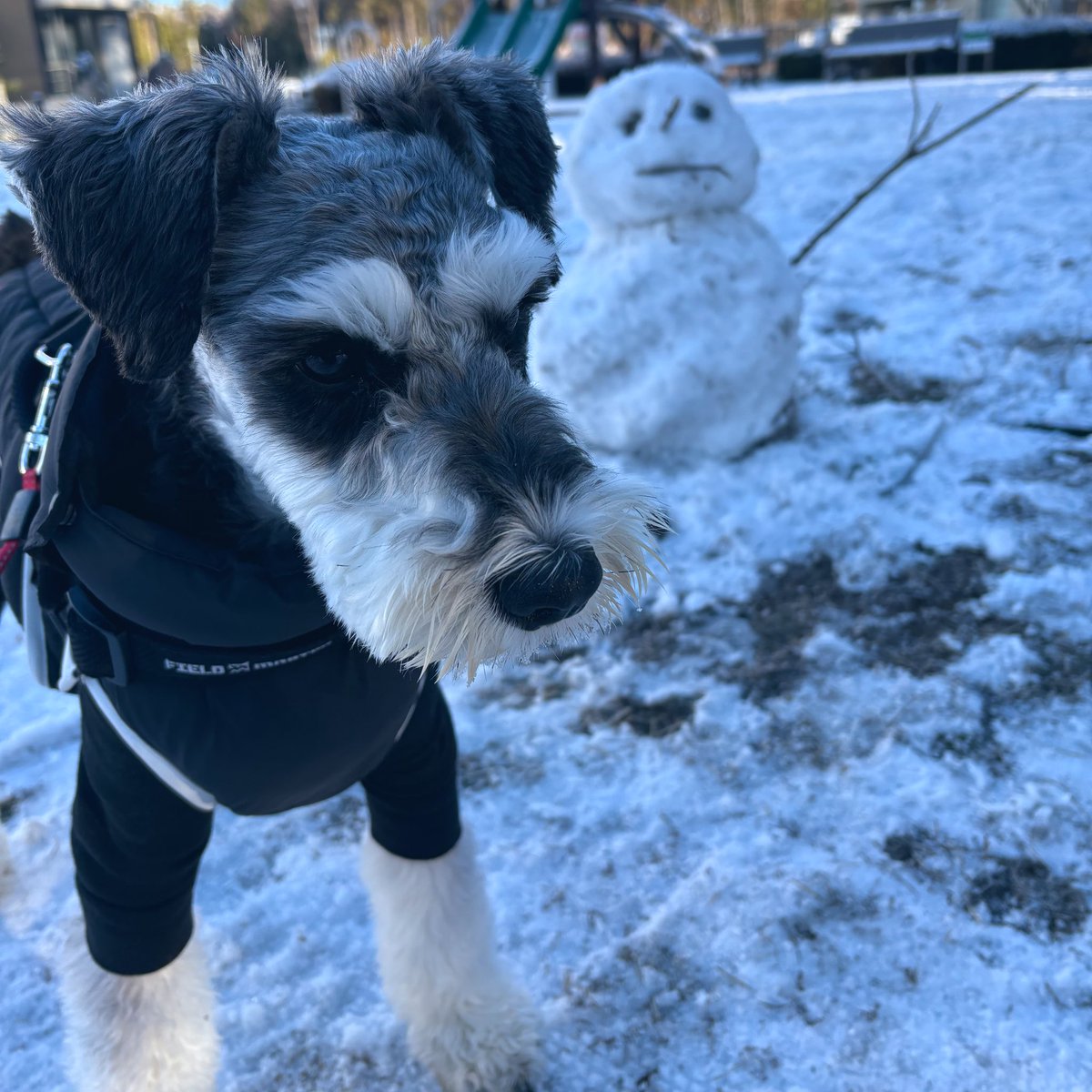 ⛄️🎍あけましておめでとうございます🎍⛄️

雪だーーーーーーーッッッ