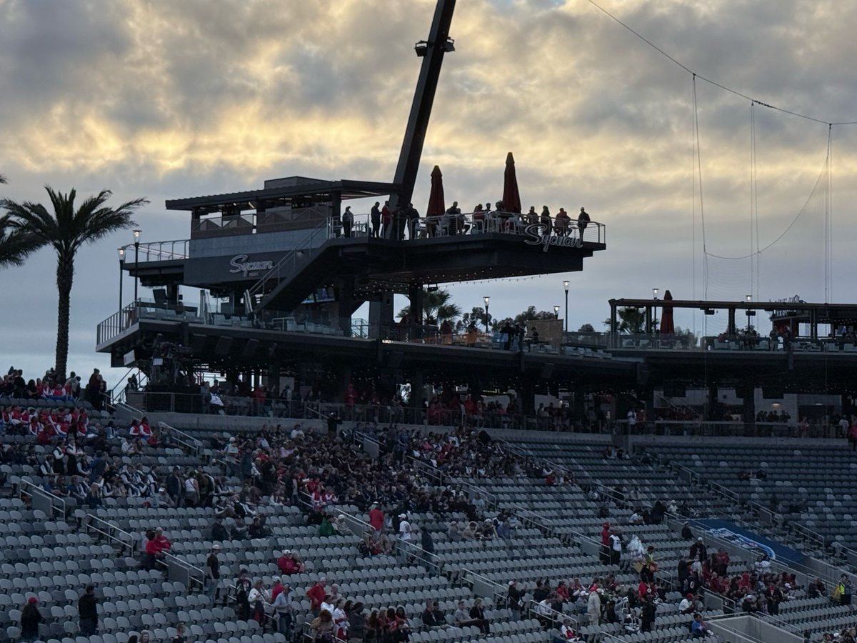 Saul Bookman tweet media