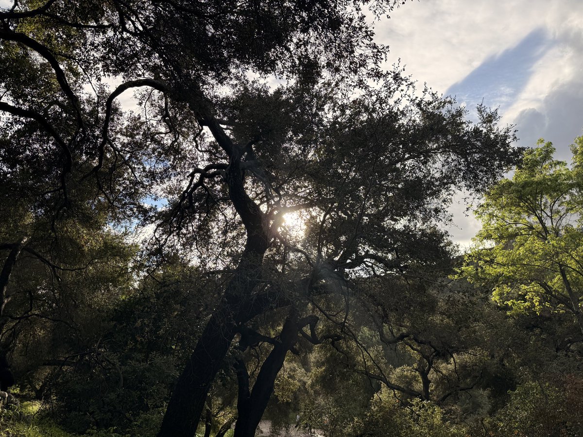 ‎ً (@outsideinmay) on Twitter photo 