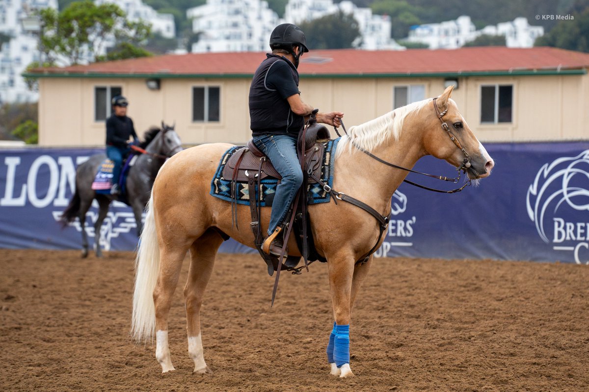 Champs of the Track tweet media