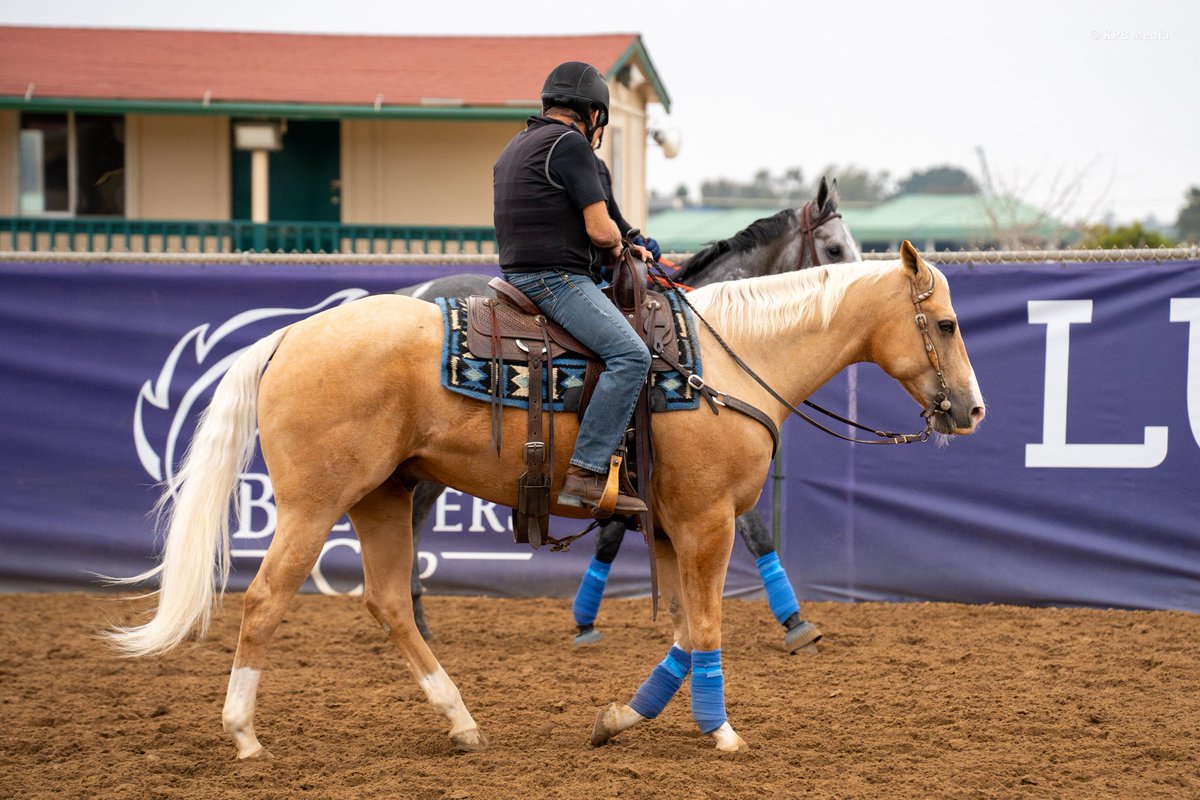 Champs of the Track tweet media
