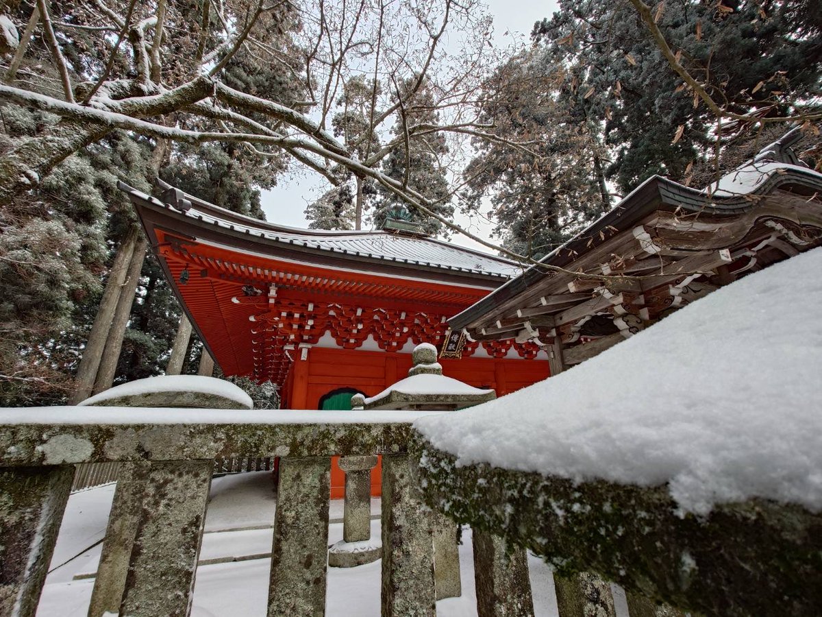 雪の降る朝の赤 RT @enryakuji_hiei: おはようございます。今朝は雪が積もりました