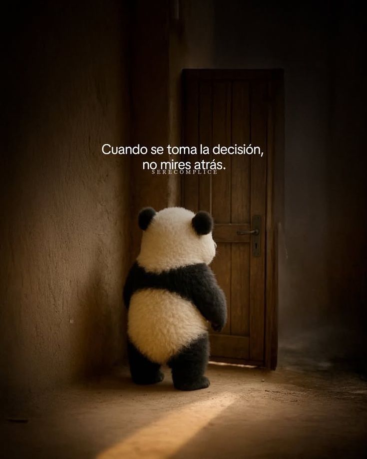 TextoDramatico's tweet image. 