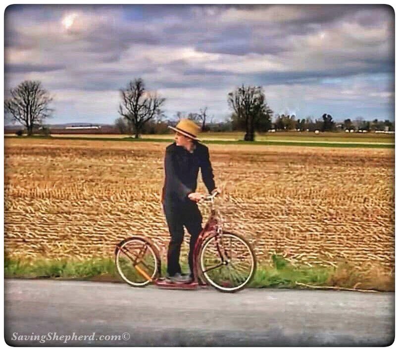 SavingShepherd's tweet image. Today’s Truth

“It is better 2 look ahead &amp;amp; prepare than 2 look back &amp;amp; regret.”

#Amish #proverb

#success #inspiration 
#quoteoftheday #SavingShepherd #photooftheday #future #forward #motivation #quotes #life #photography #country #picoftheday #landscape #scooter #travel #pic 🇺🇸