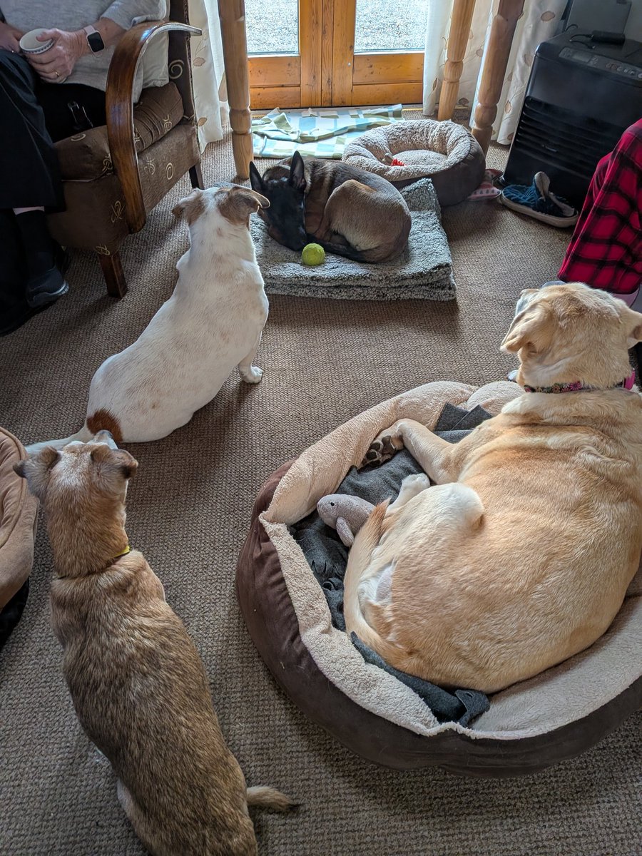 Karl Doyle tweet media