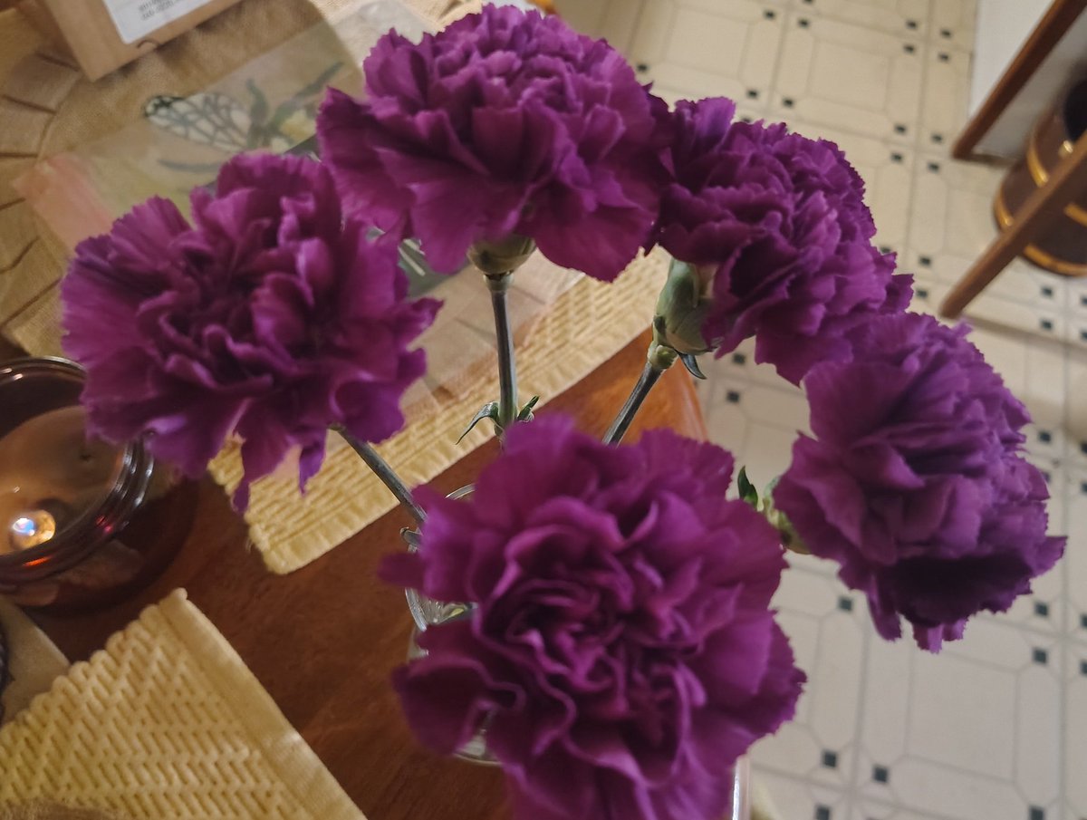 DeejHoneyDrop's tweet photo. Just some lovely for you!! ;) #purple #FlowersOnFridays #mybae #Passion #girls ๐๐ https://t.co/a58FHT5V16