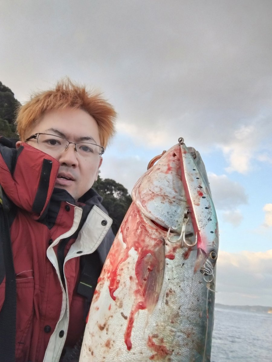 まろた まろた (@marota37) / Posts / X