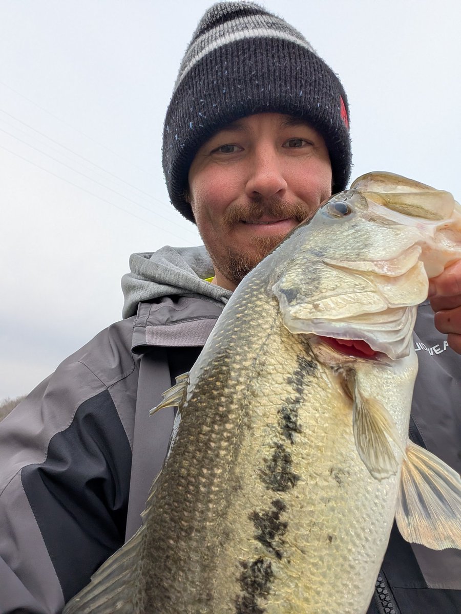 Kyle Board tweet media