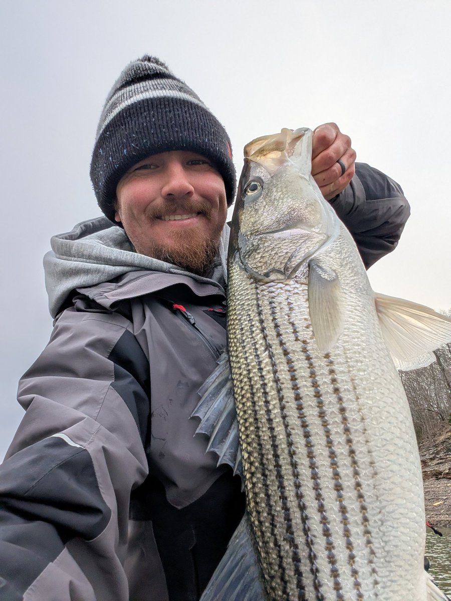 Kyle Board tweet media