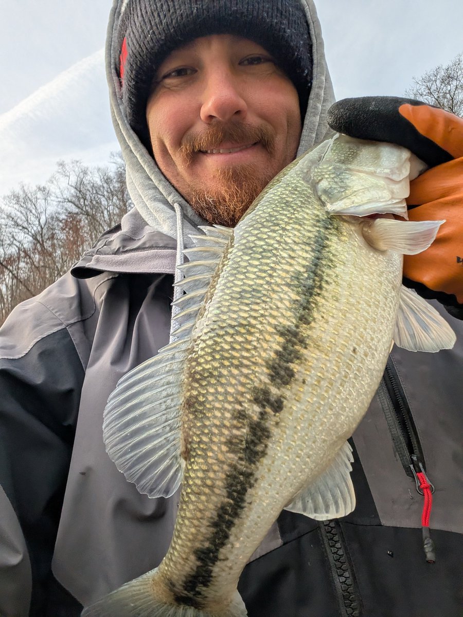 Kyle Board tweet media