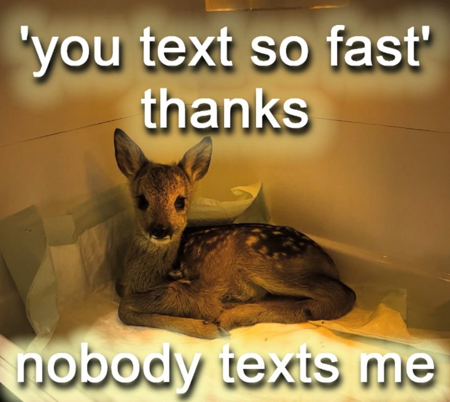 transgendeer (@ciervatonta) on Twitter photo 