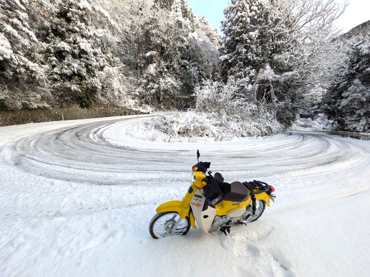 つがたく (@tsugataku) / Posts / X