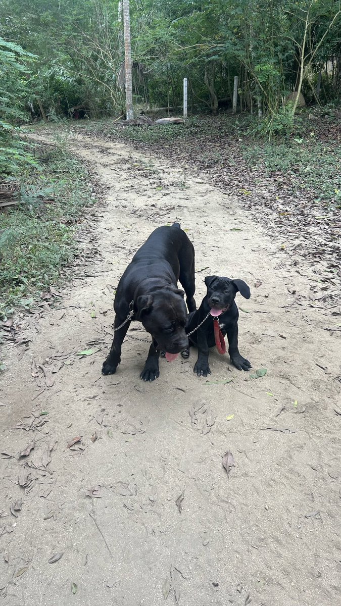 !!!Consintiendo a mis hermosos chiquitines, en el paraíso Nayarita!!!