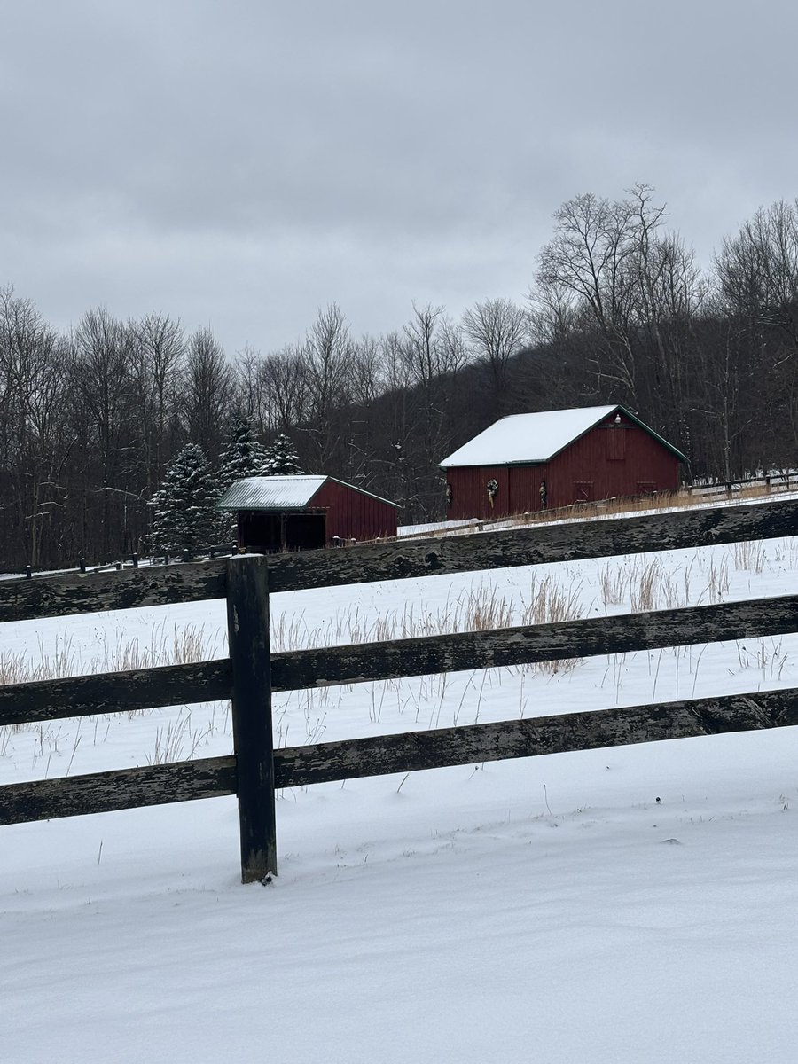 Starrybooz's tweet image. Snowchester