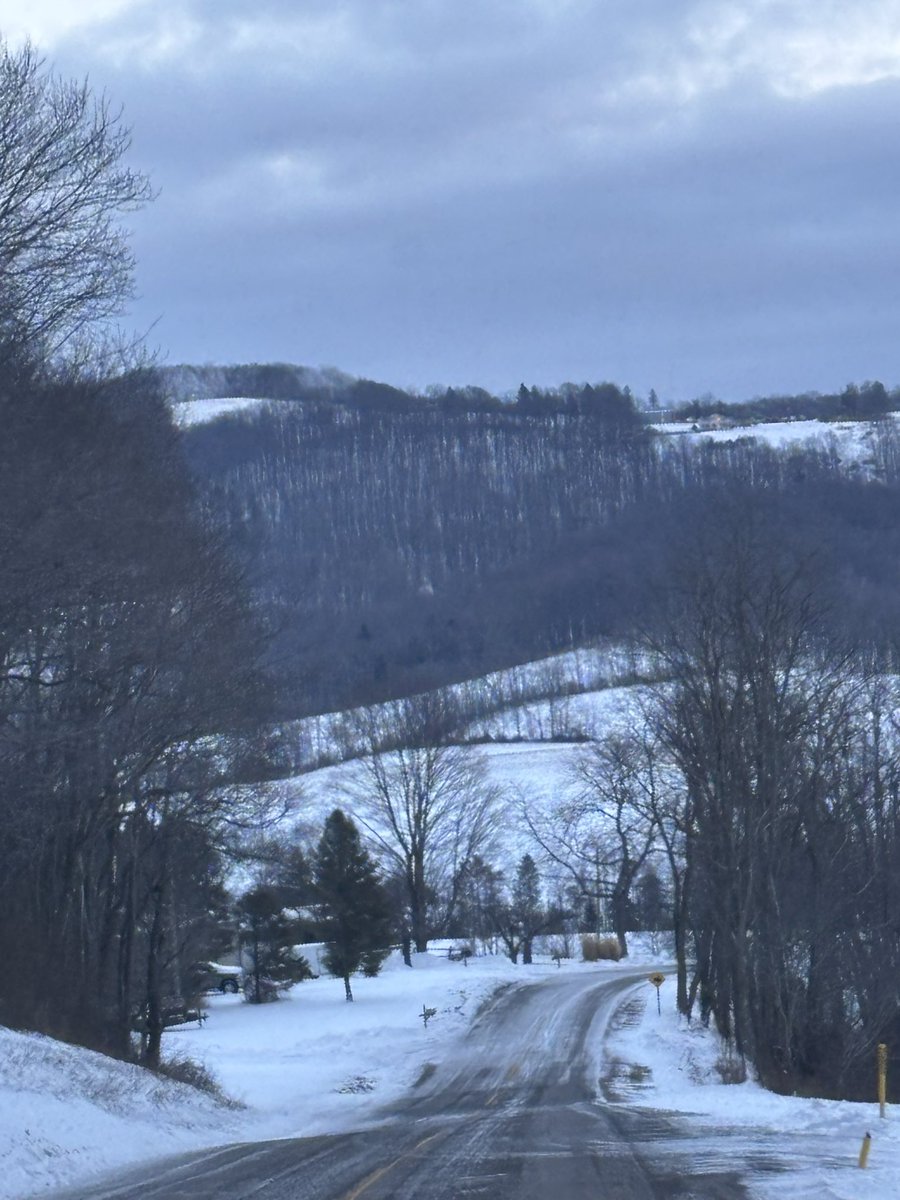 Starrybooz's tweet image. Snowchester