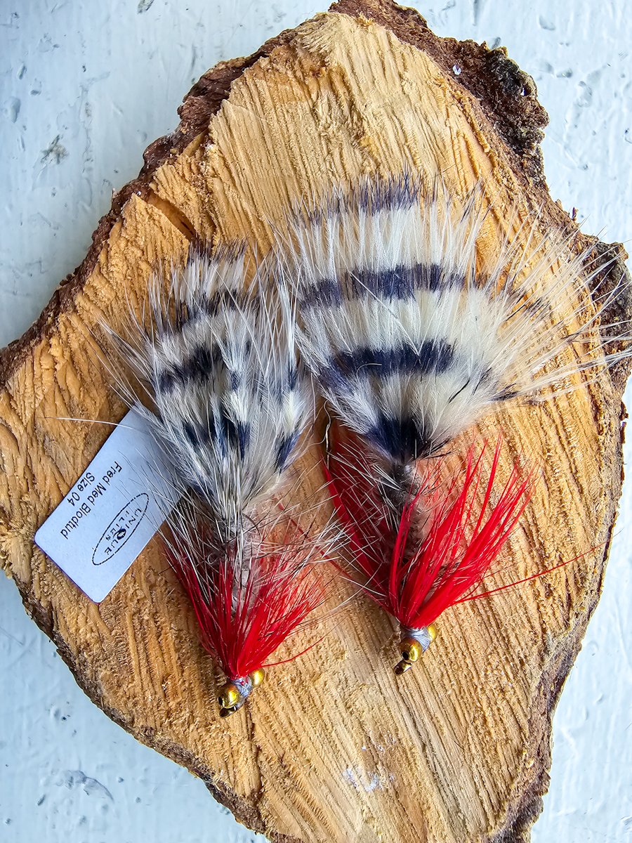 HectorCantres's tweet image. New Year's eve catch! Florida Butterfly Peacock Bass on a fly I brought home from Denmark. #FunOutdoors #OutdoorFun #OutdoorPlay #outdoors #PeacockBass #PeacockBassFishing