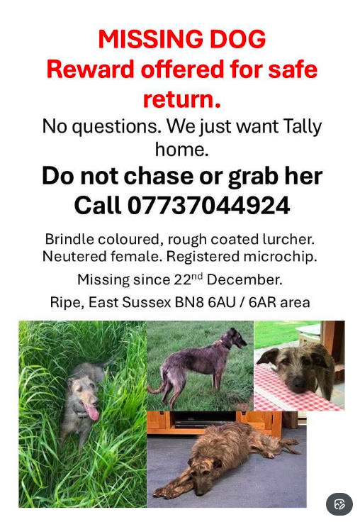 misc_endeavours's tweet photo. ✴️HAVE YOU SEEN HER?    
✴️IS SHE SHELTERING IN YOUR SHED OR GARAGE?
✴️HAS SHE SHOWN UP ON YOUR DOOR CAM? https://t.co/CiAiFtz9K8