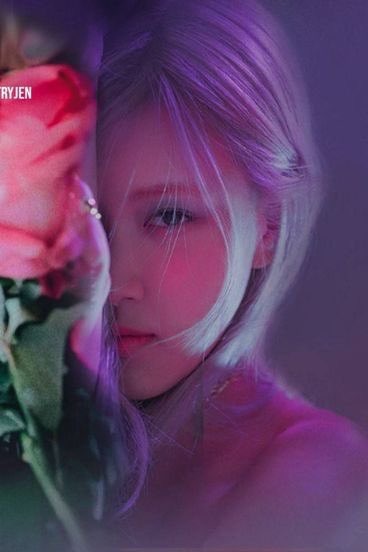 lee five tweet media