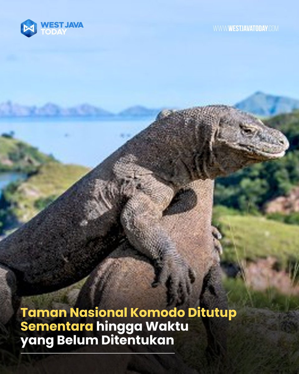 wjtodaycom's tweet photo. 🗓 BALAI TAMAN NASIONAL #Komodo (#BTNK) menutup sementara #TamanNasionalKomodo (#TNK) untuk aktivitas wisata alam dan pelayaran hingga waktu yang belum ditentukan.***

🔗 Info lebih lanjut, kunjungi tautan berikut ini : 

https://t.co/FdXsCiubEo https://t.co/tuTPy7kB3H