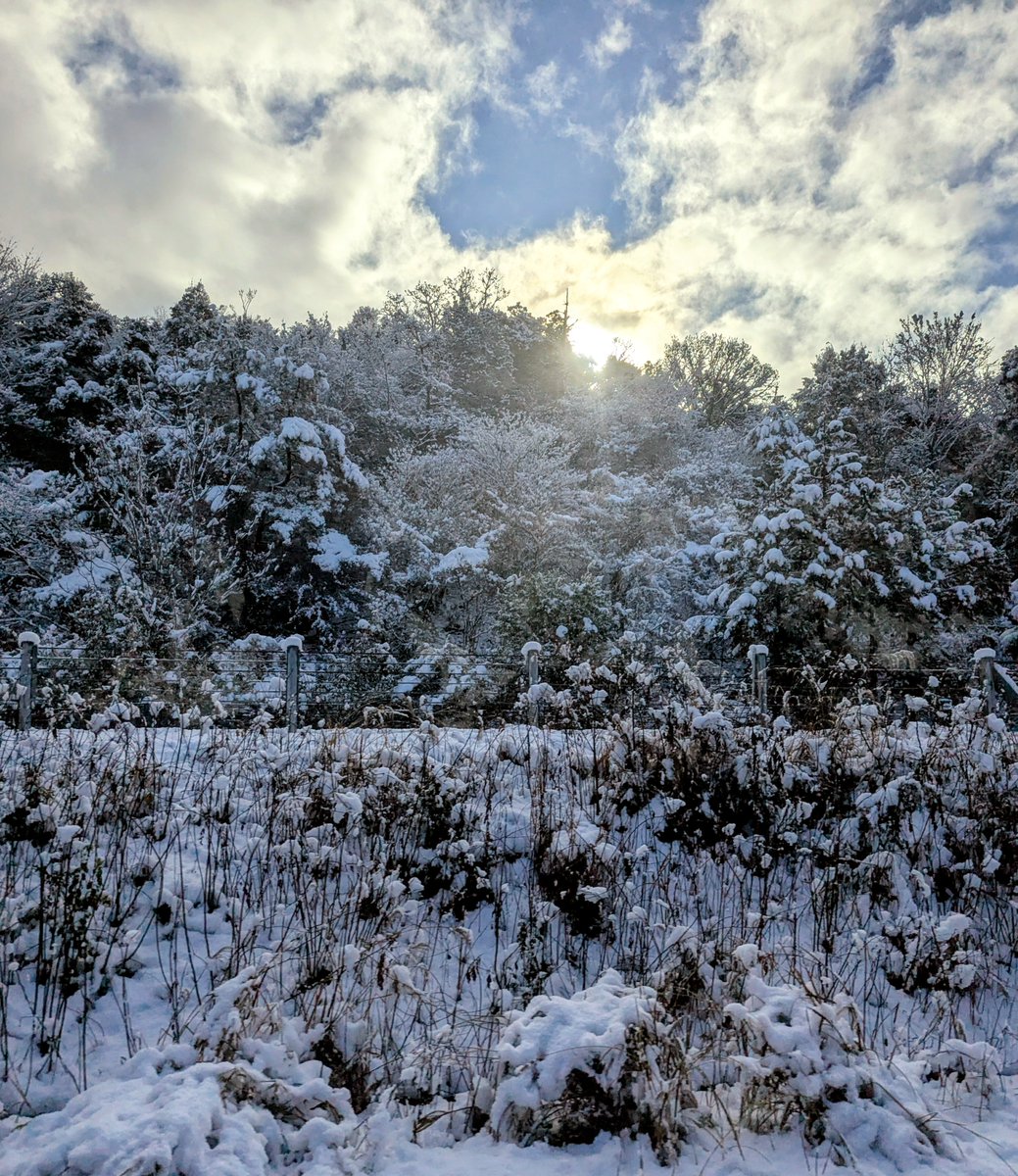 初詣も兼ねて天橋立に向かい中。
宝塚過ぎたらどんどん雪が積もってきてる