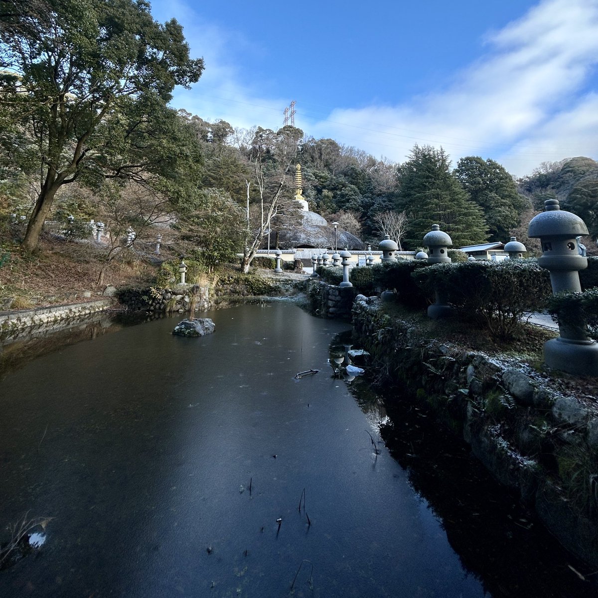 kyuanji's tweet photo. 【うっすら凍る】

久安寺です。
朱雀池。山茶花。南天。

どうぞ初詣ご参拝ください。
諸堂おはいりになってご縁の仏さまにお会いくださいませ。

#久安寺
#池田市 
#高野山真言宗
#関西花の寺12番札所
#西国薬師18番札所
#摂津国67番札所
#摂津観音19番札所
#kyuanji
#ikedacity
#初詣
#お寺に初詣 https://t.co/mYIU4EgOBa