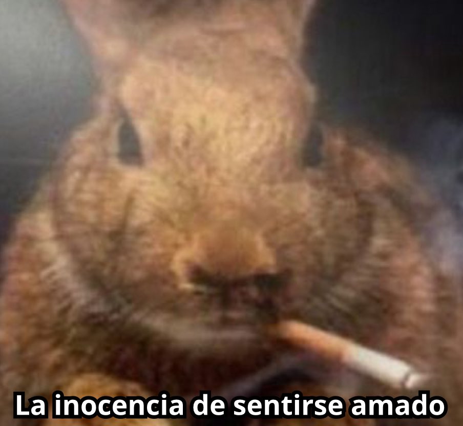 emociones amarillas (@conoloracigarro) on Twitter photo 