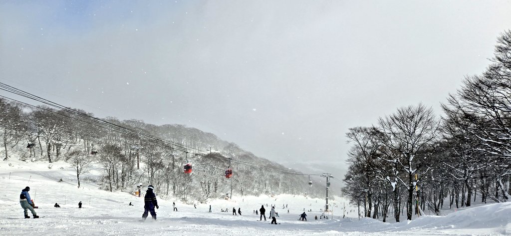 りぃれっくす tweet media