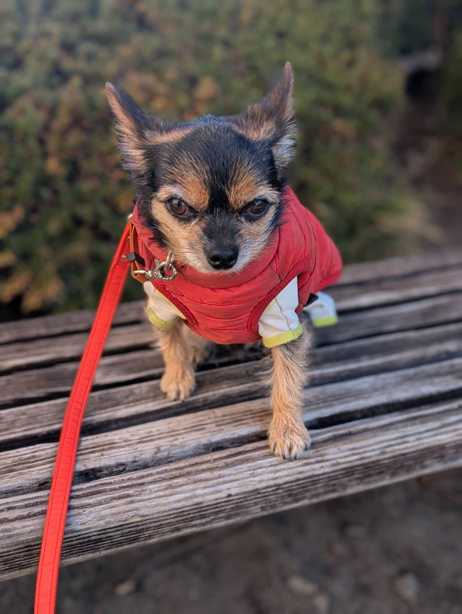 龍ちゃんズとよっちゃんみっちゃん (@ryuchan123bro) / Posts / X