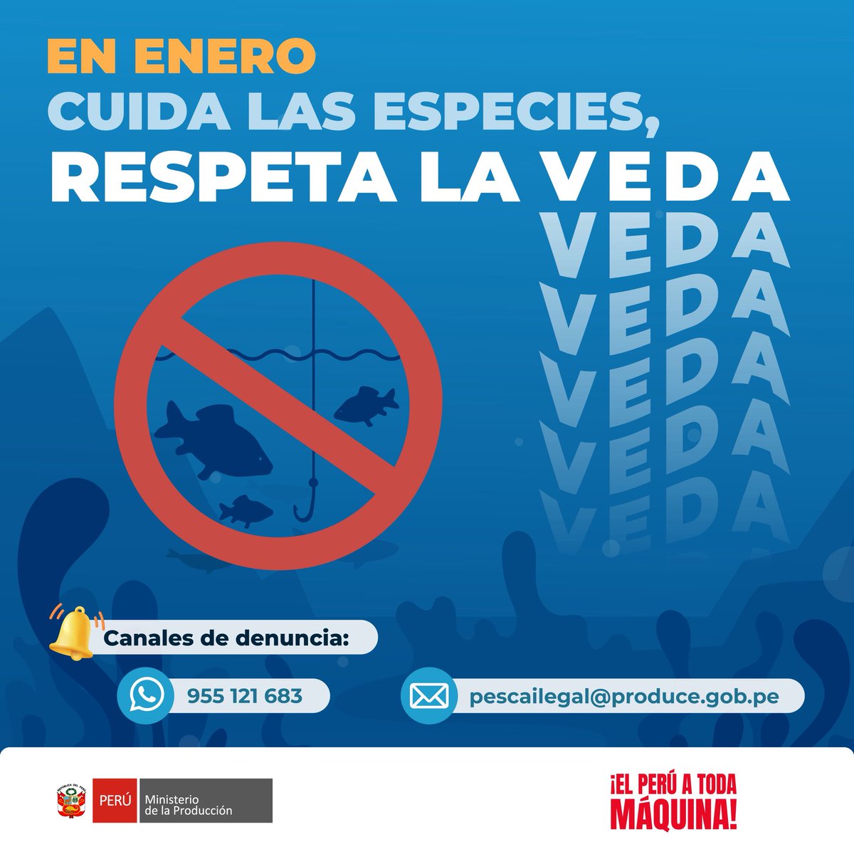 📢 ¡Respeta la veda y protege nuestras especies! 🐟