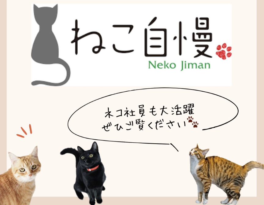 ★neko3zukiねこさんずきさん★11月29日　商品番号65 nekozuki（ねこずき）公式｜猫用品メーカー・ブランド