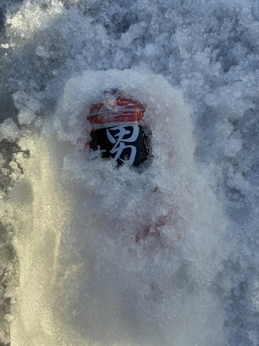 4_hope_cat's tweet photo. 雪の中でお酒冷やしてる
「男梅サワー」
キンキンだぜ〜！ https://t.co/x8vI8LIT6E
