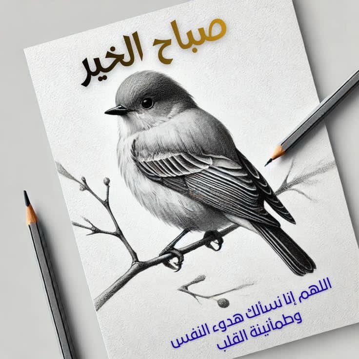 صباح الخيرااات..
#صباح_الخير #صباح_الاجواء_الحلوه #السبت