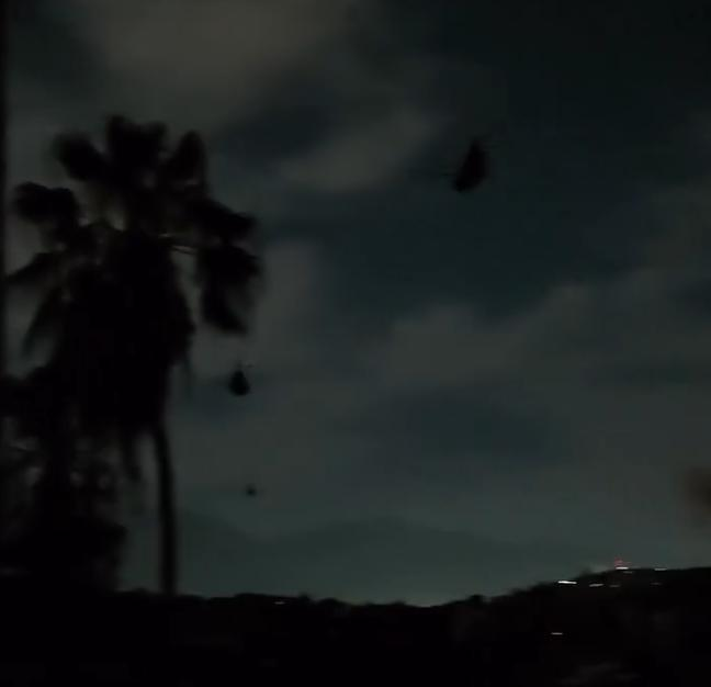 ✦✦✦ 𝙿𝚊𝚖𝚙𝚑𝚕𝚎𝚝𝚜 ✦✦✦ tweet media