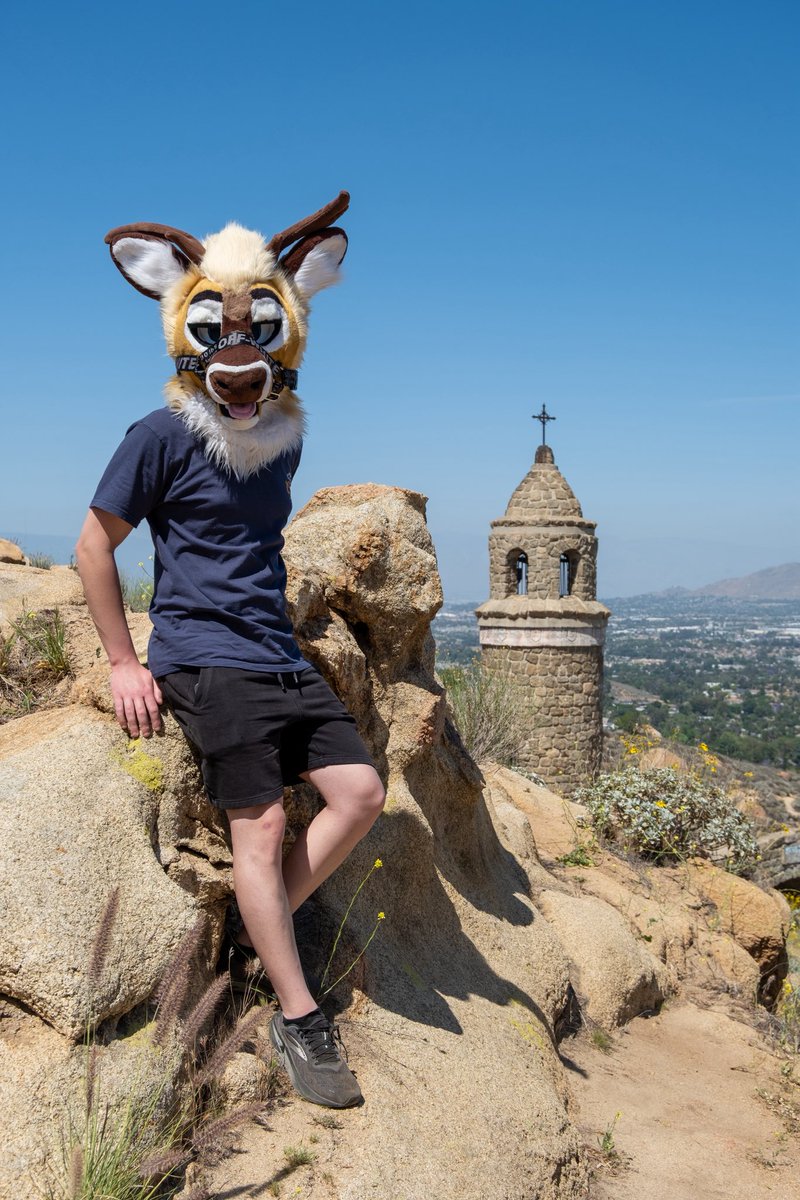 🟦☁️ @bleat182.noel.lgbt tweet media