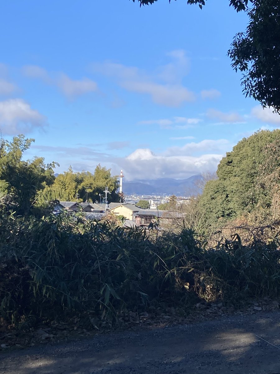 こまこ tweet media