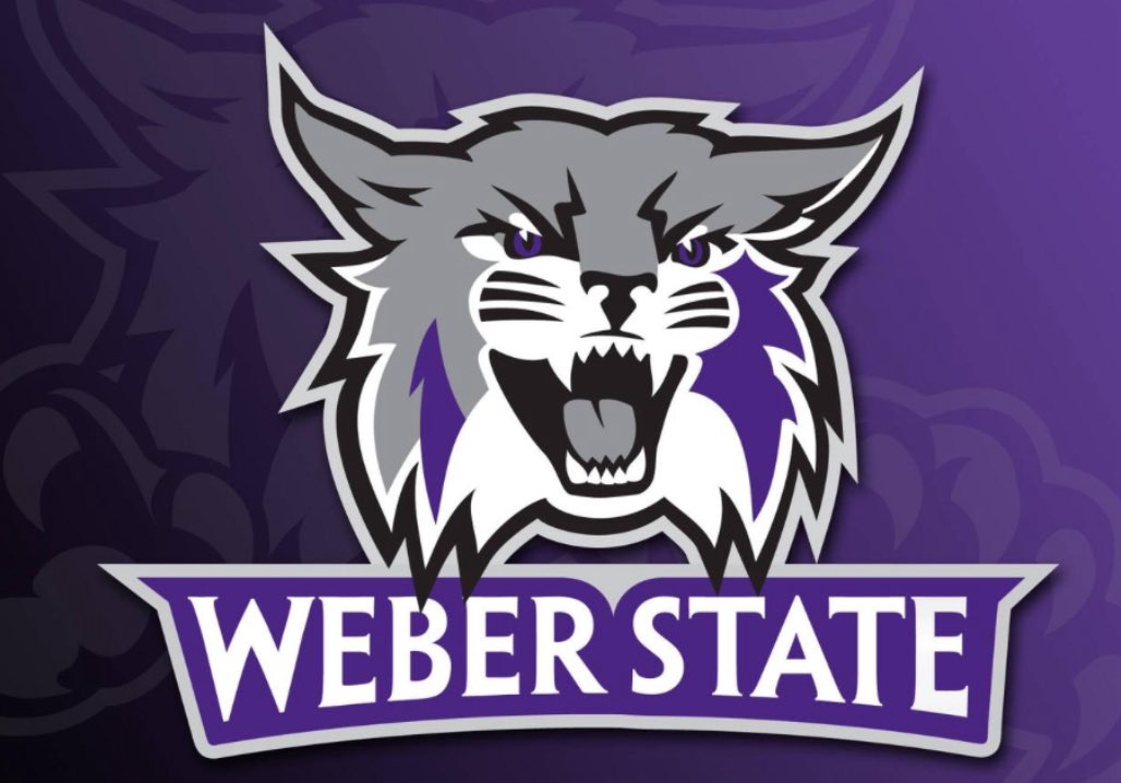 Tyson Wilson tweet media